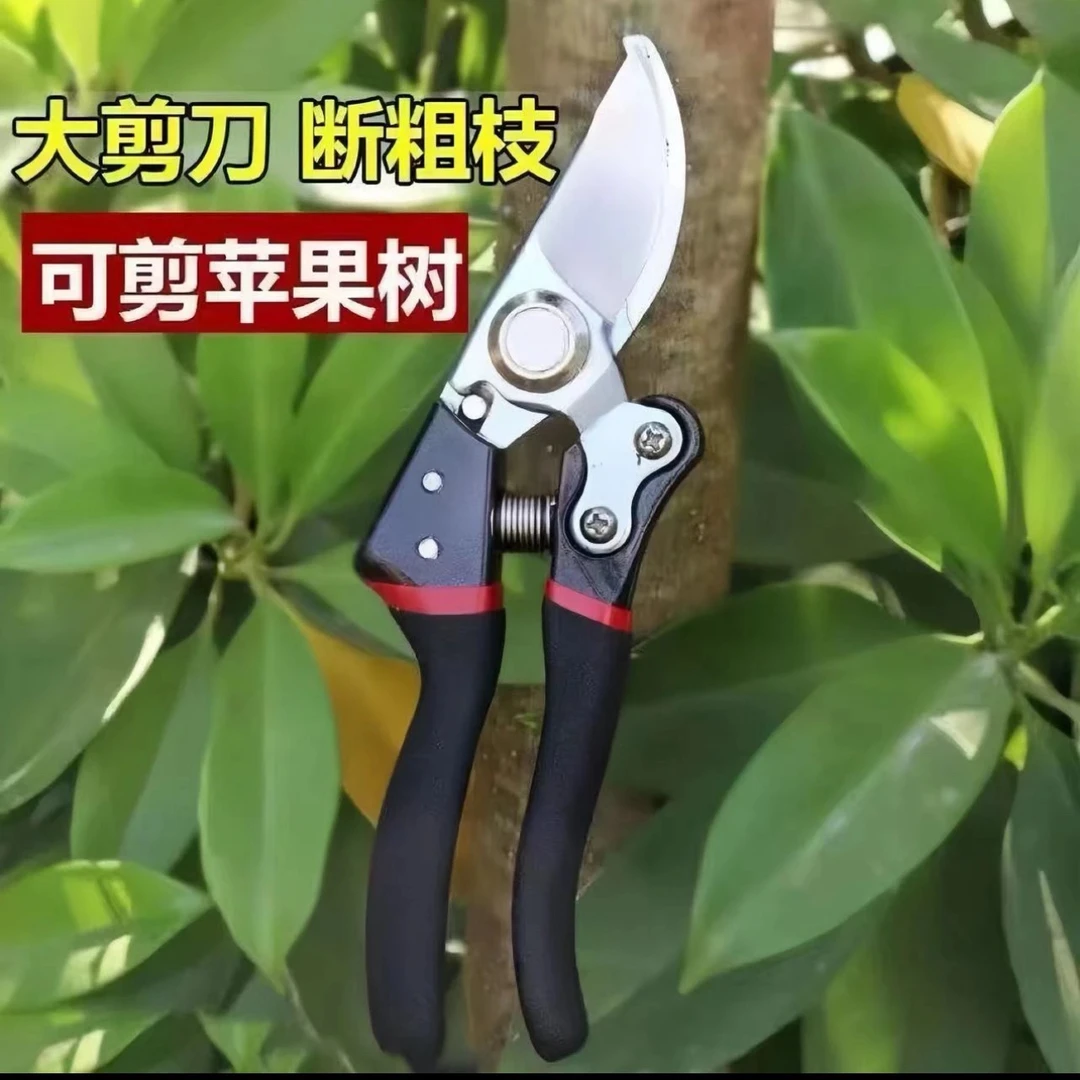 德国工亿剪树剪子果树剪耐用多功能修枝剪花卉花枝剪刀花木修枝剪