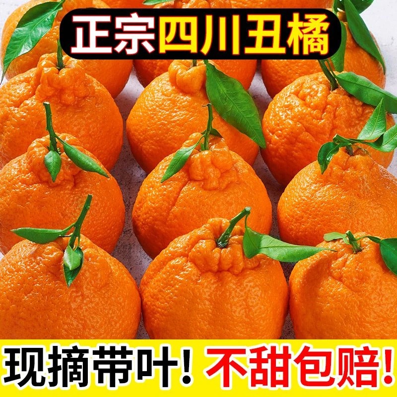 正宗高山不知火丑桔丑橘子水果新鲜应季春见耙耙柑1-9斤整箱桔子
