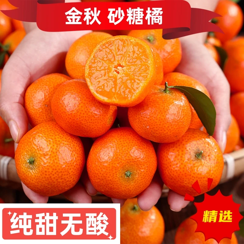 正宗广西金秋砂糖橘1-9斤沙糖桔成熟采摘新鲜应季水果产地现摘发