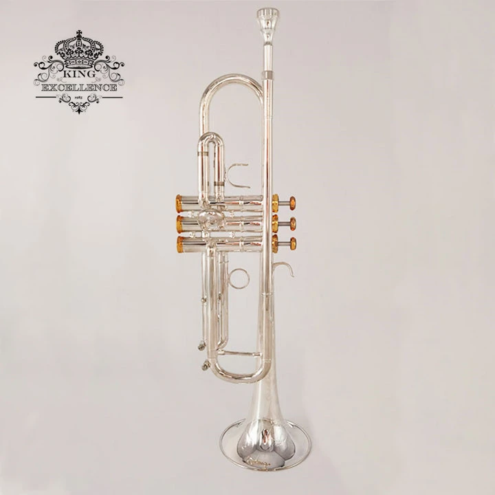 艾舍伦斯 小号 ASTR-800