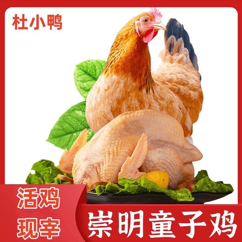 【崇明杜小鸭】上海精选崇明岛童子鸡（带珍，肝，心）HD