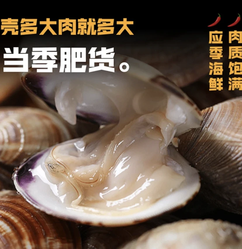 新粉福利美贝山东精选品质肥美美贝5斤装 顺丰冷链发货