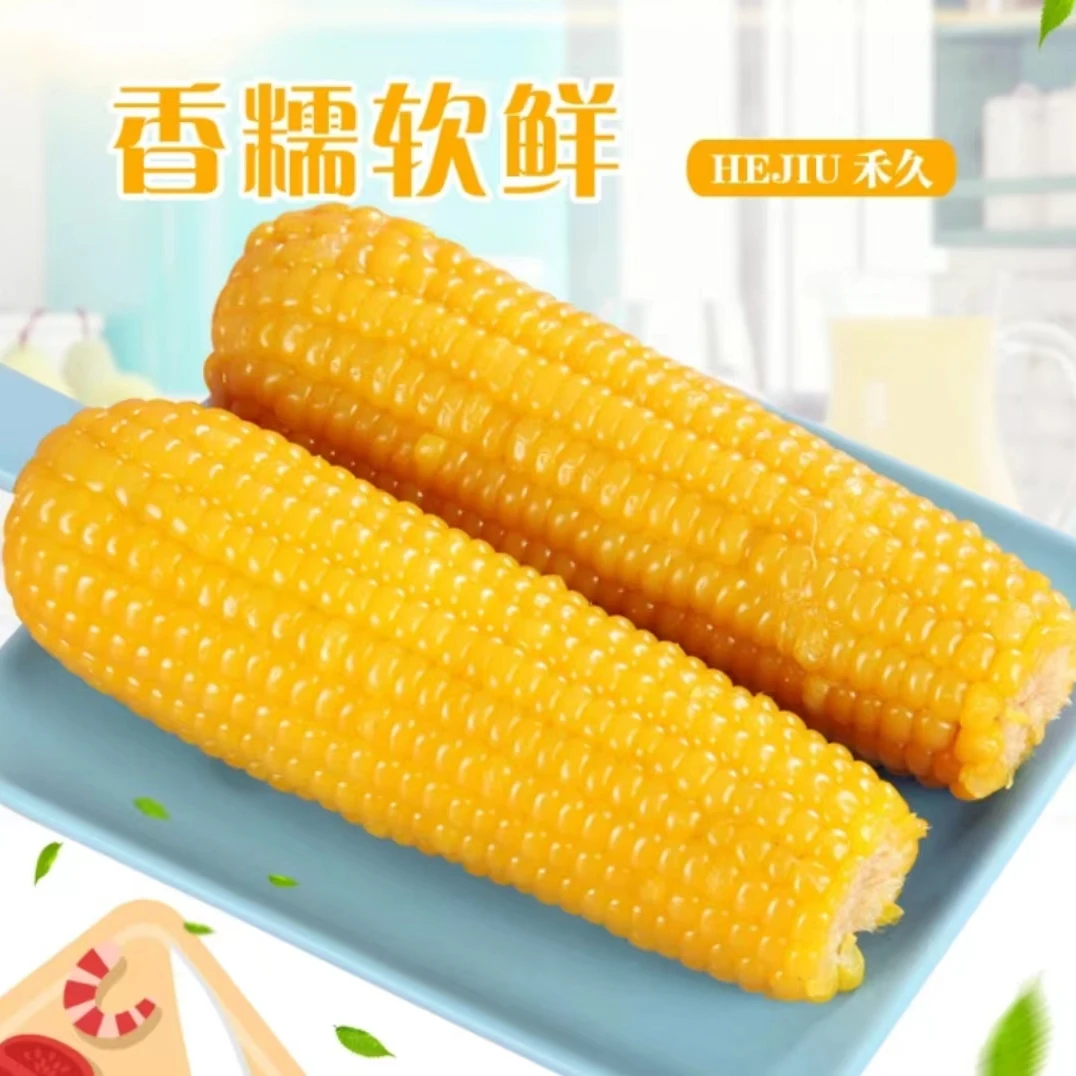 富硒黄糯玉米 香糯 鲜食 6根装 260g/根