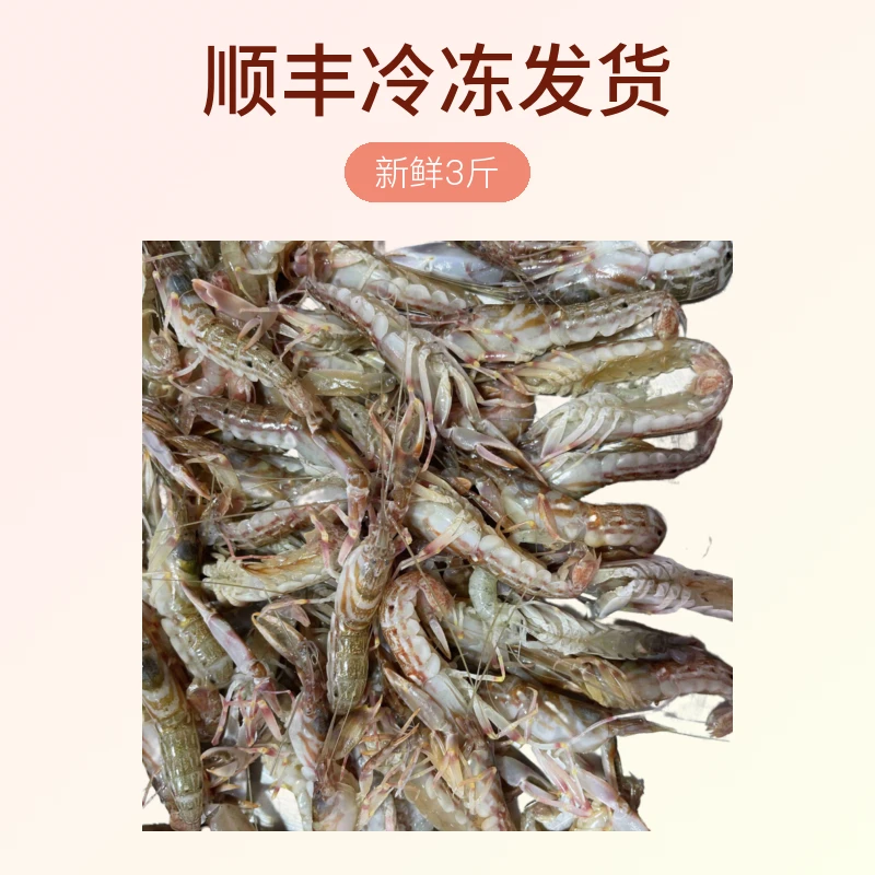 大连纯野生海虾花腰子新鲜3斤顺丰冷冻发货