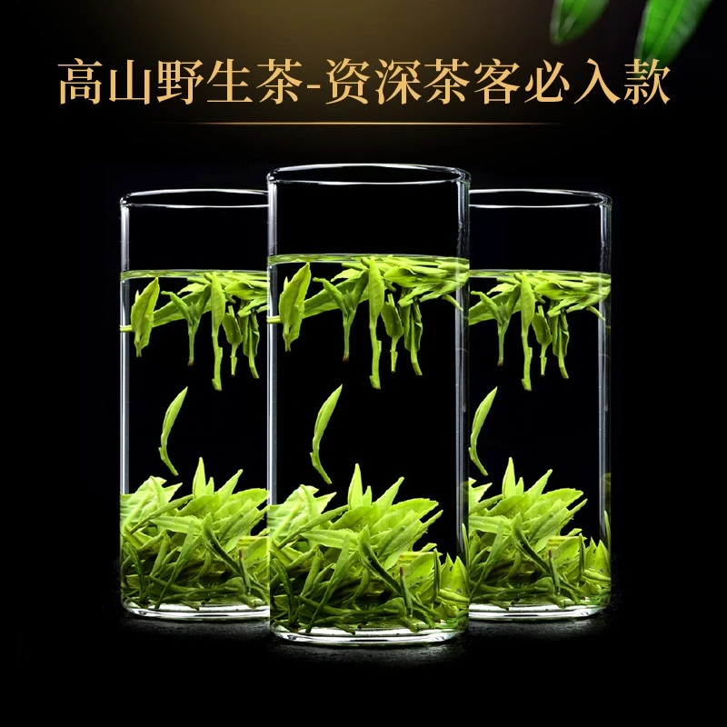 [抖音专享价]预售2025年有机茶叶125克信阳固始毛尖茶雨前野生茶