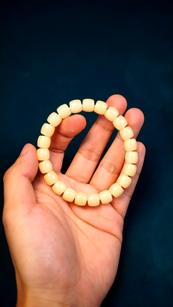 【闪购商品】菩提根/象牙果手串10mm直切菩提根