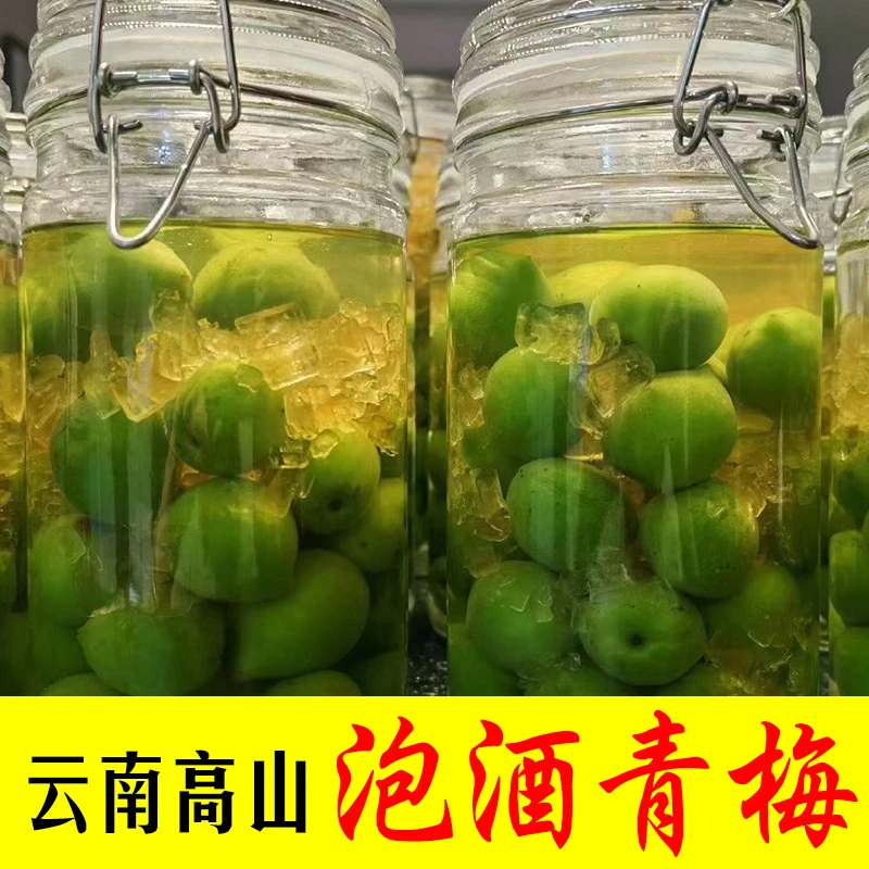 云南新鲜优质青梅果现摘发货散装生梅子泡青梅酒酸水果梅酵素包邮