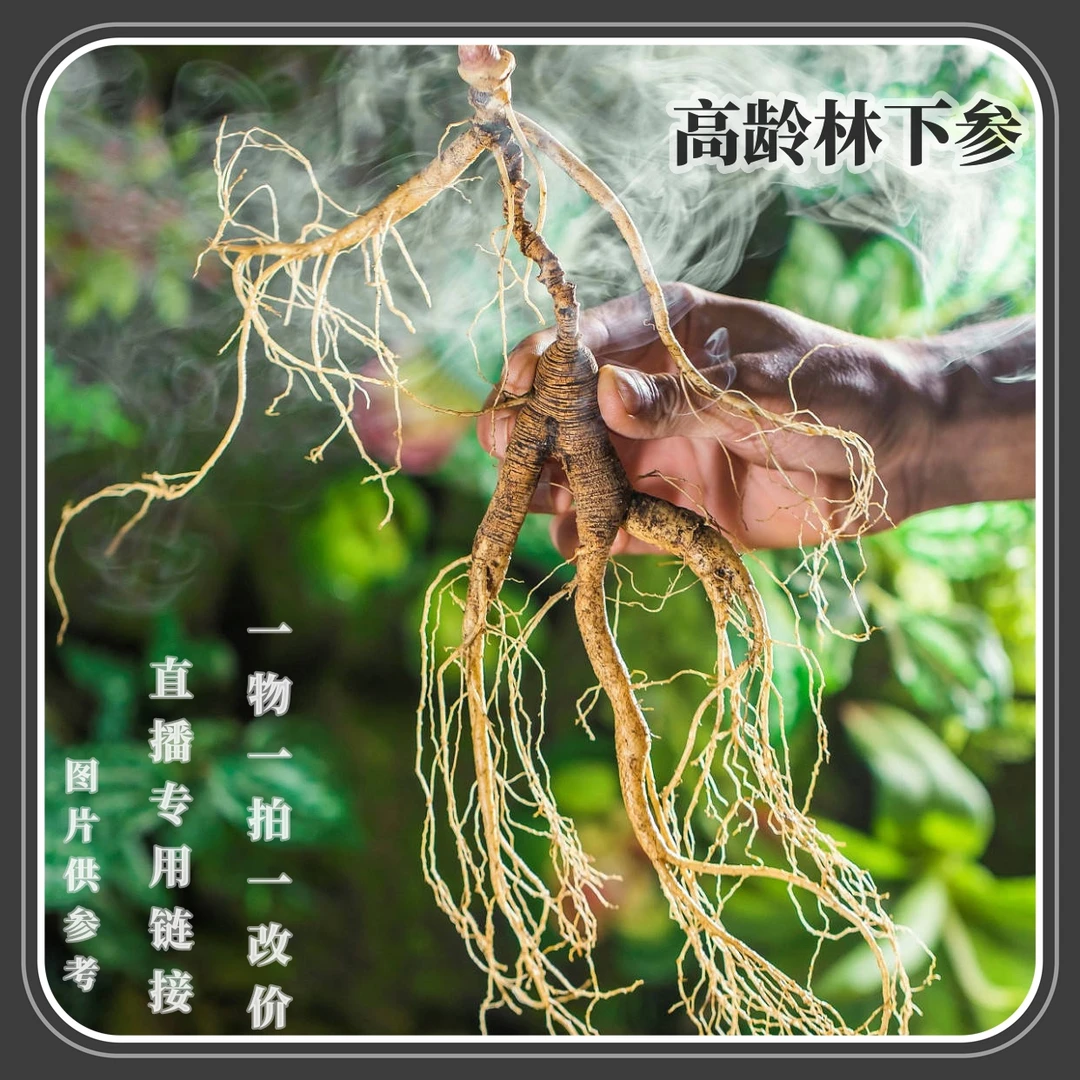 长白山林下人参直播间特价链接