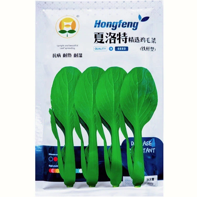 铁杆鸡毛菜种子 夏洛特 夏优美 鸡毛菜种子耐热耐湿小青菜种子