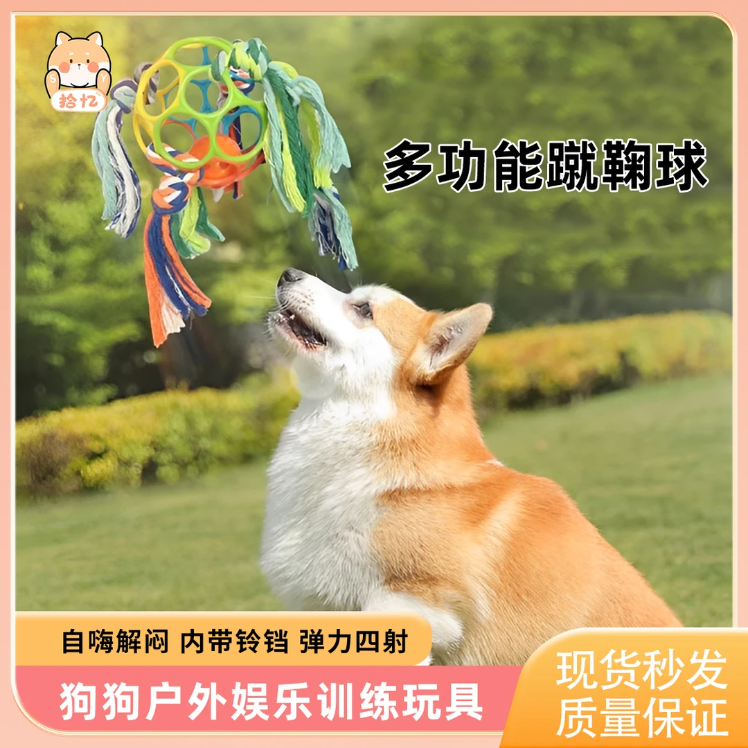 宠物狗狗玩具球磨牙耐咬结绳人宠互动解闷玩具柯基蹴鞠球观赛搭子