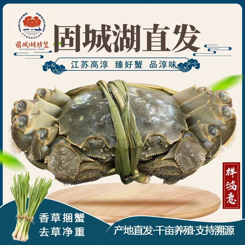 《特大活蟹》去绳4.1-3.9两公+3.1-2.9两母8/10只固城湖产地直发