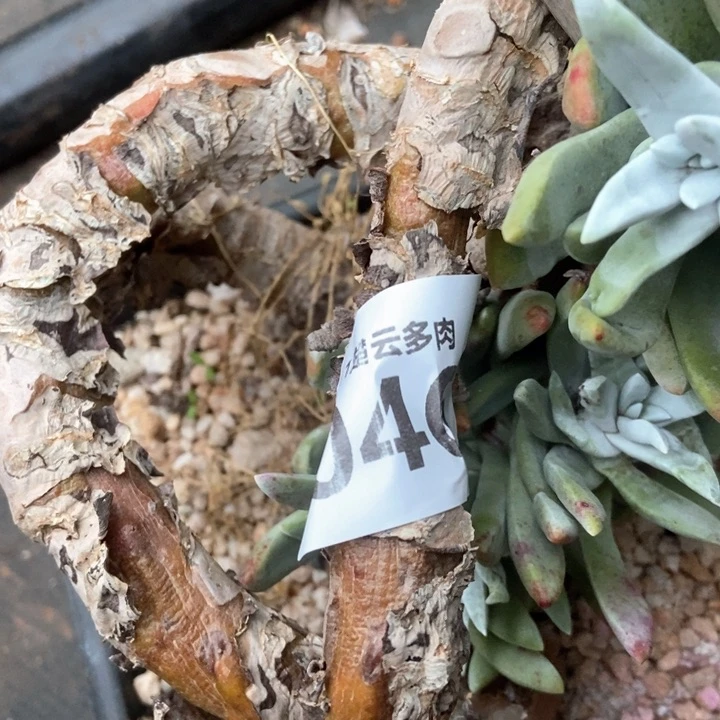 石*源046啦啦啦啦啦