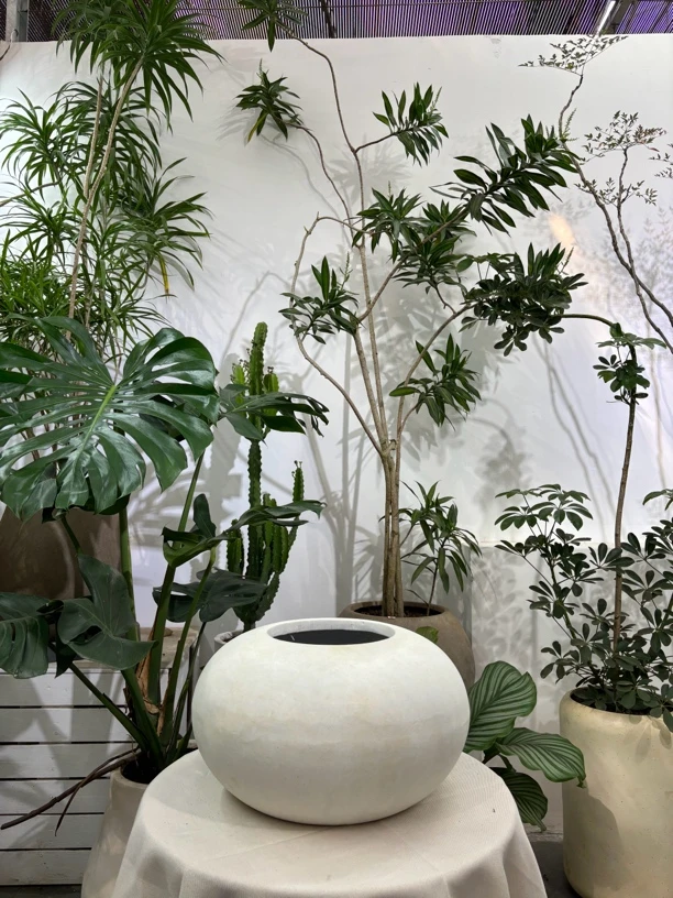 扁球形镁泥花盆中号可种草花