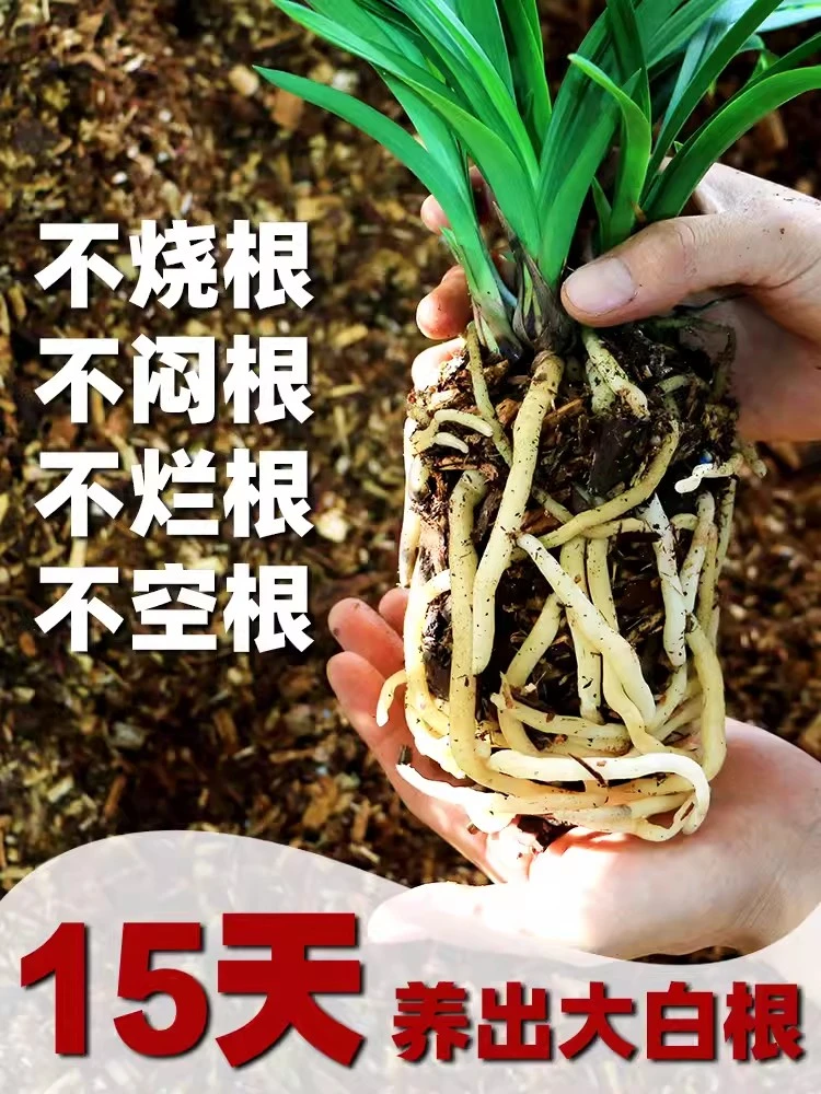 兰花植料（花土）无菌透气防虫疏松透气 纯杉木屑 绿植兰花卉好养活