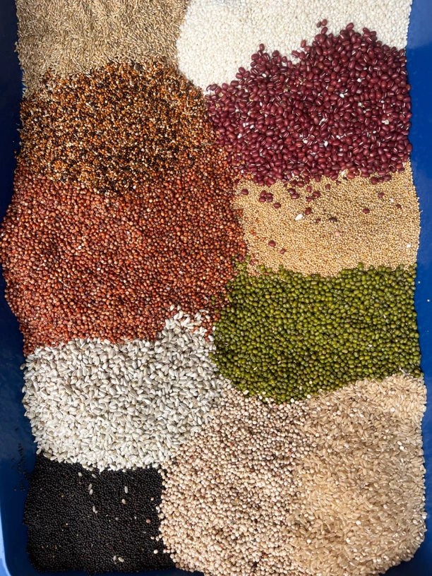 职业种鸽打乳粮催乳粮泌乳粮