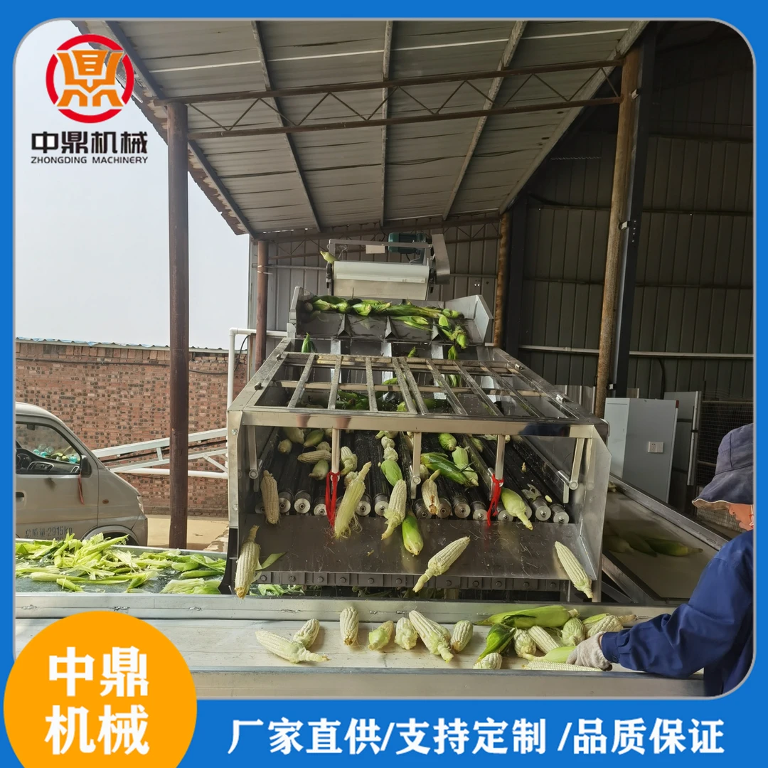 隆坤鲜玉米扒皮机 简单玉米深加工速冻线 时产一万穗剥皮机 优质