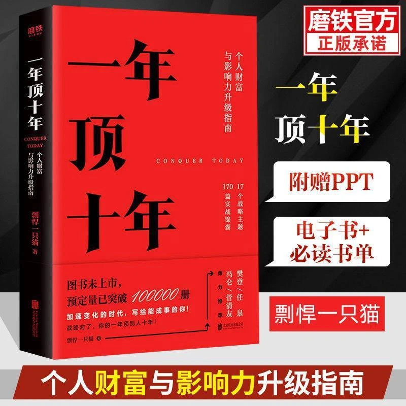 【正版书籍】一年顶十年 剽悍一只猫 个人财富与影响力指南书籍