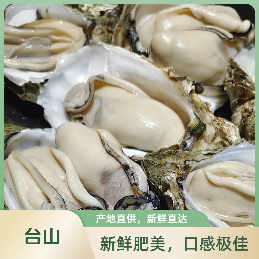 台山蚝鲜汇 中小海蚝 鲜甜脆口 每罐生蚝28-35个/斤