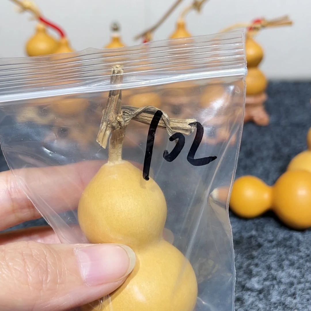 【闪购商品】天然葫芦H***