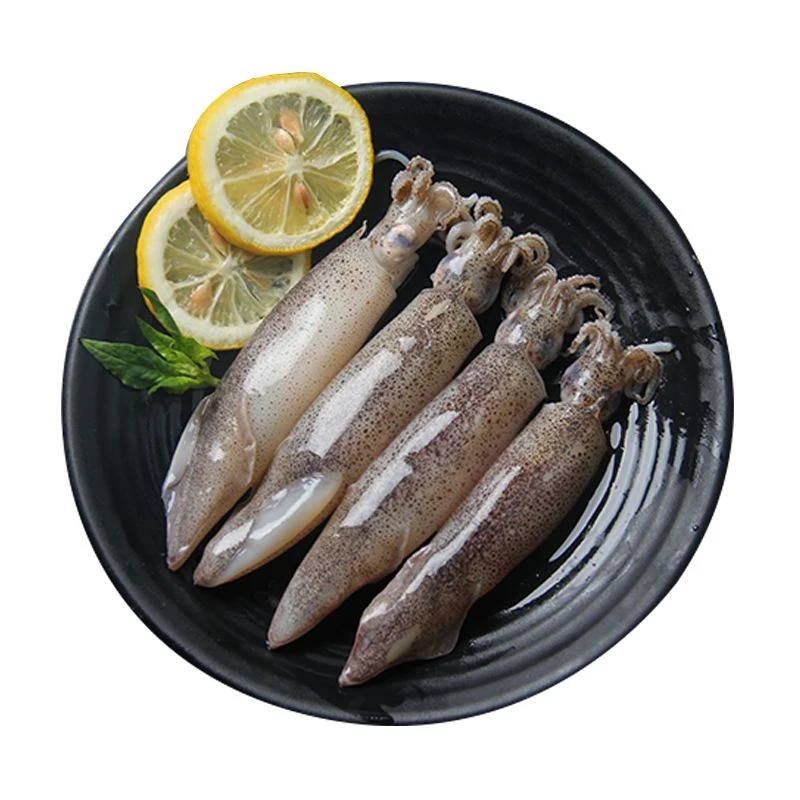 【永不下架】4斤海兔码头鲜货 野生美味新鲜海兔笔管鱼