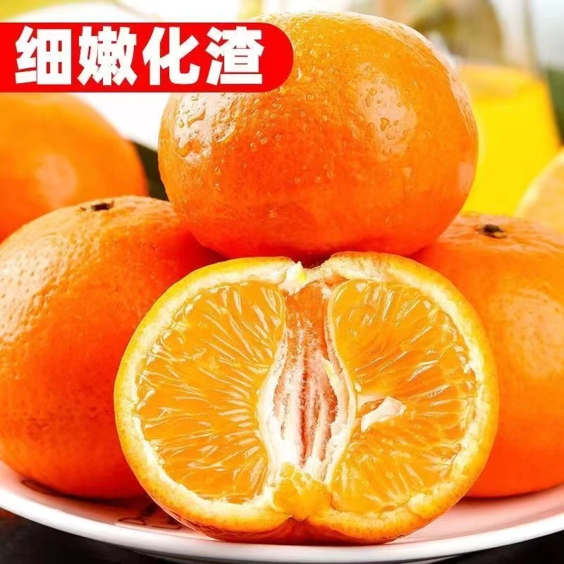 【拍5斤送4斤】广西武鸣沃柑皮薄柑橘榨汁包邮3斤5斤9斤爆汁多汁