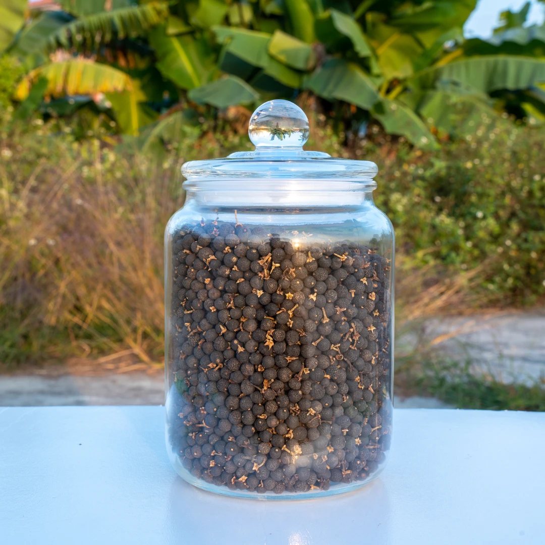 2016年精选梅江剪枝柑胎/新会梅江圈枝果/纯生晒干仓货新会小柑胎