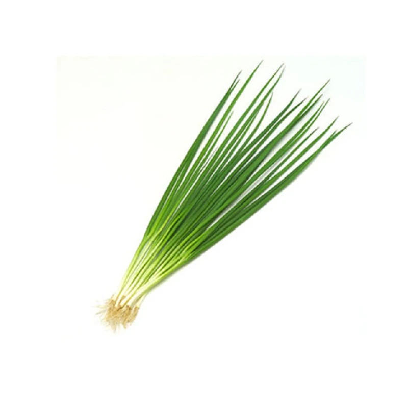 红头香葱约50g/份