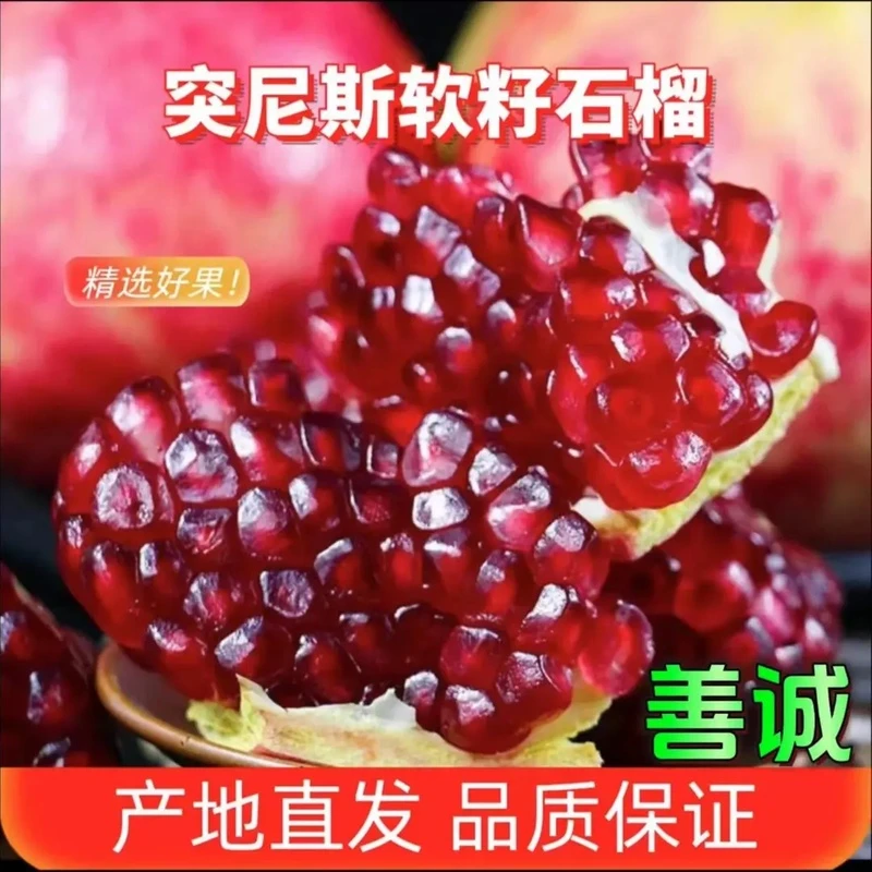 【一级果】四川会理突尼斯软籽石榴香甜爆汁不吐籽4.5/8斤产地现采