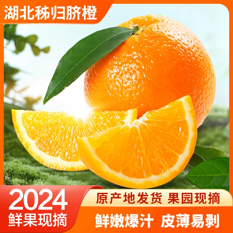 心想事橙 秭归纽荷尔脐橙3斤装现摘现发酸甜可口多汁