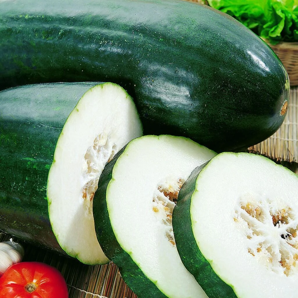 黑皮冬瓜种子四季种植蔬菜种子庭院菜园盆栽种植高产易活不用管理