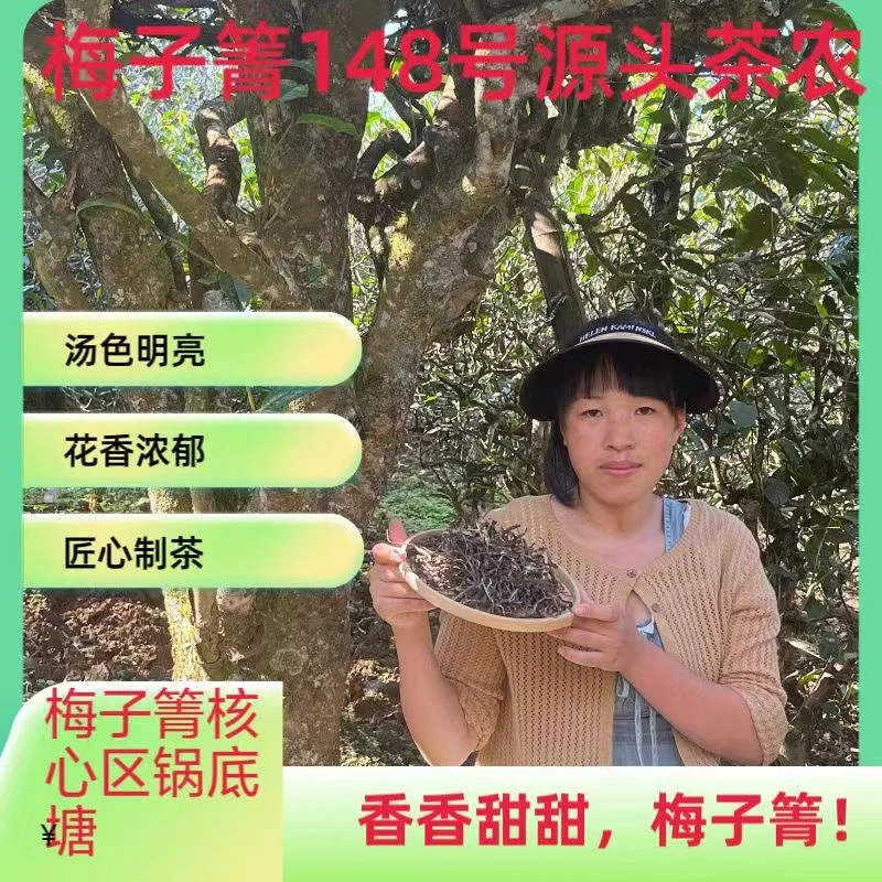 【梅子箐】核心区锅底塘148号李文雪家24年古树春茶（清韵气足）