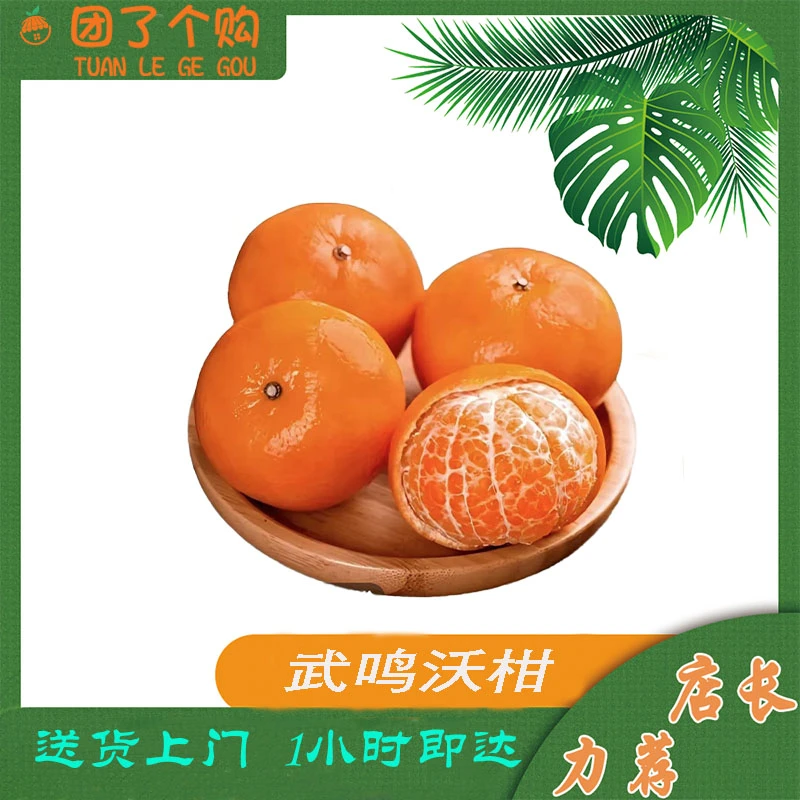 武鸣沃柑【净重5斤装】