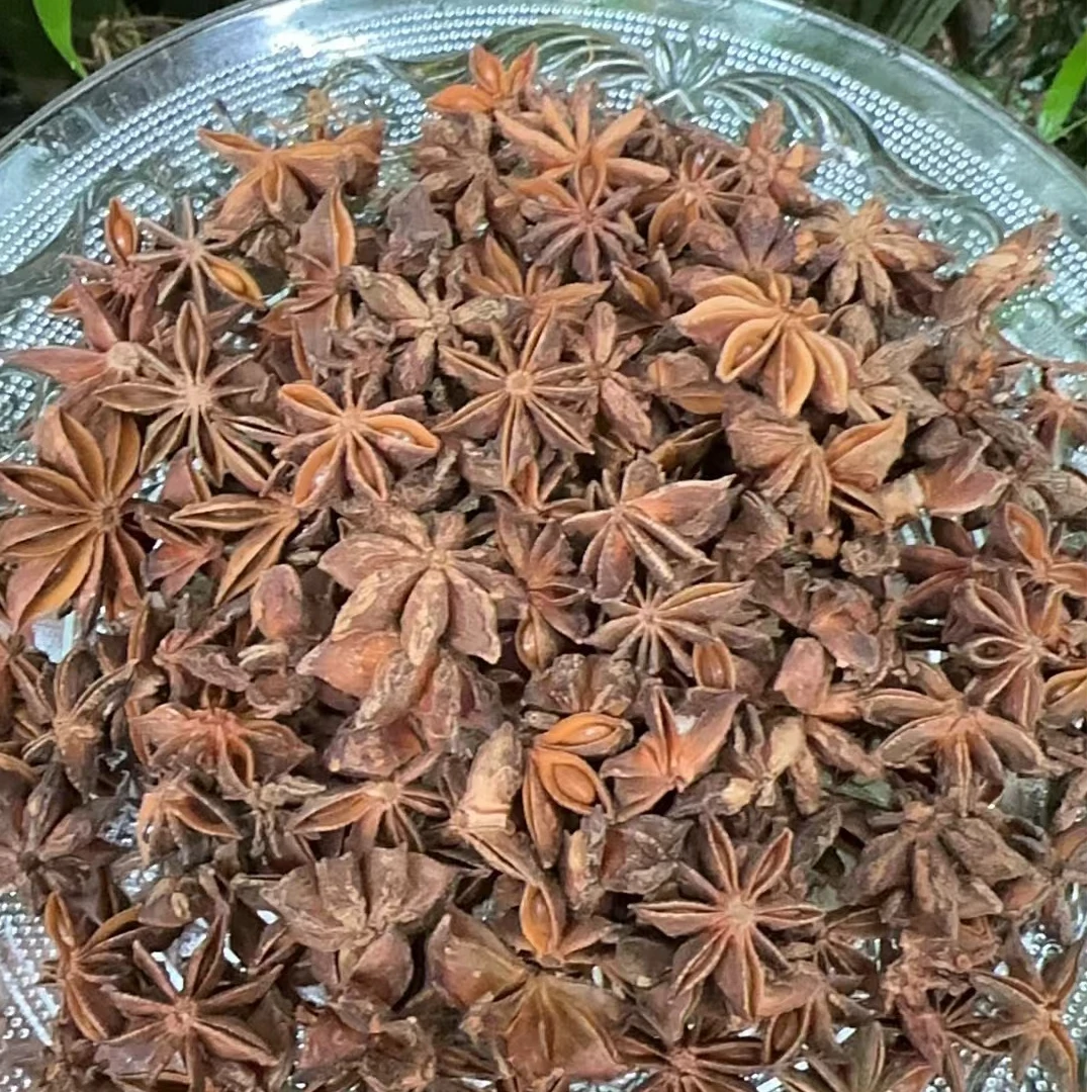 3【古-樹-捌-鲛】净含量100g【啊琦现收】菌