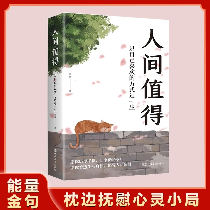 人间值得 以自己喜欢的方式过一生人生正能量成长心灵疗愈书籍