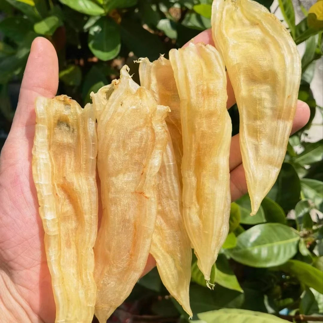 【前记精选】70-75头双背胶250-500克