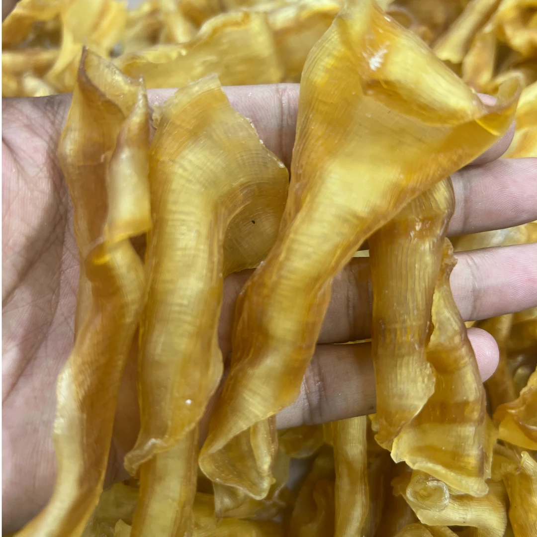 【前记精选】凤尾胶鱼胶 250-500克