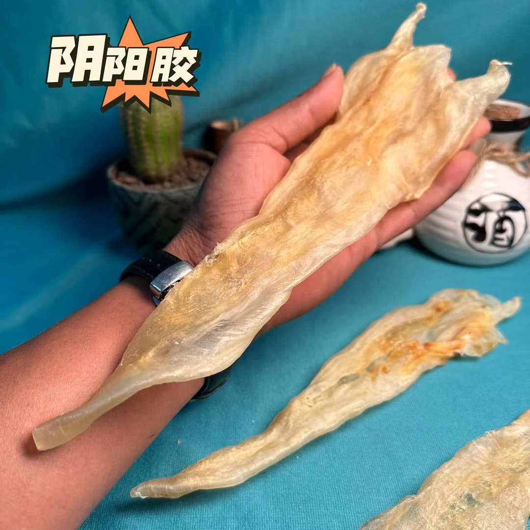 22头阴阳鳘鱼胶 250克/500克 海鱼花胶 炖汤炖牛奶