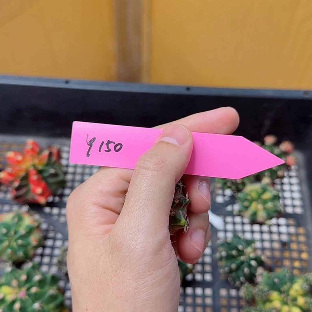 【闪购商品】建****梯150/0819
