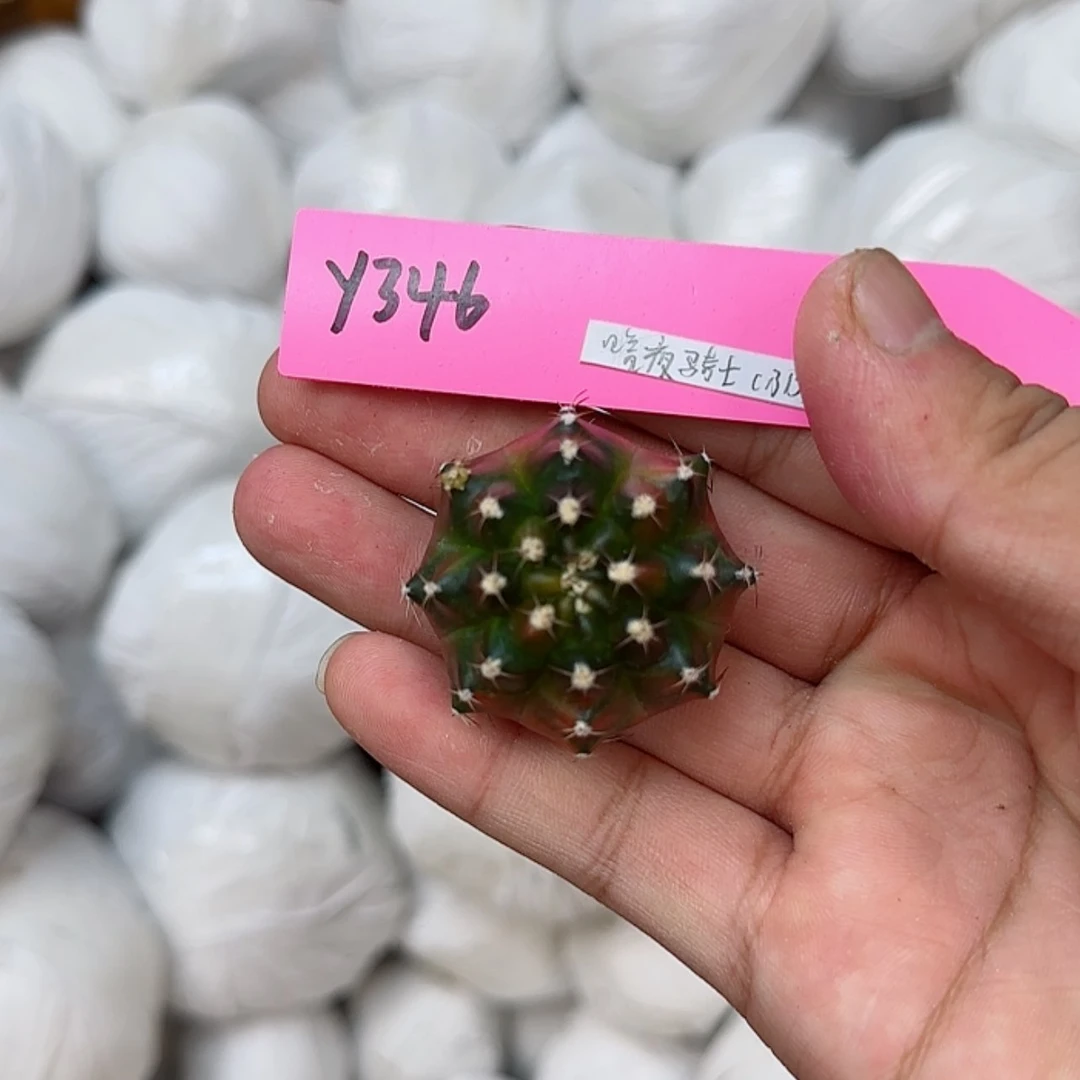 【闪购商品】346-0827