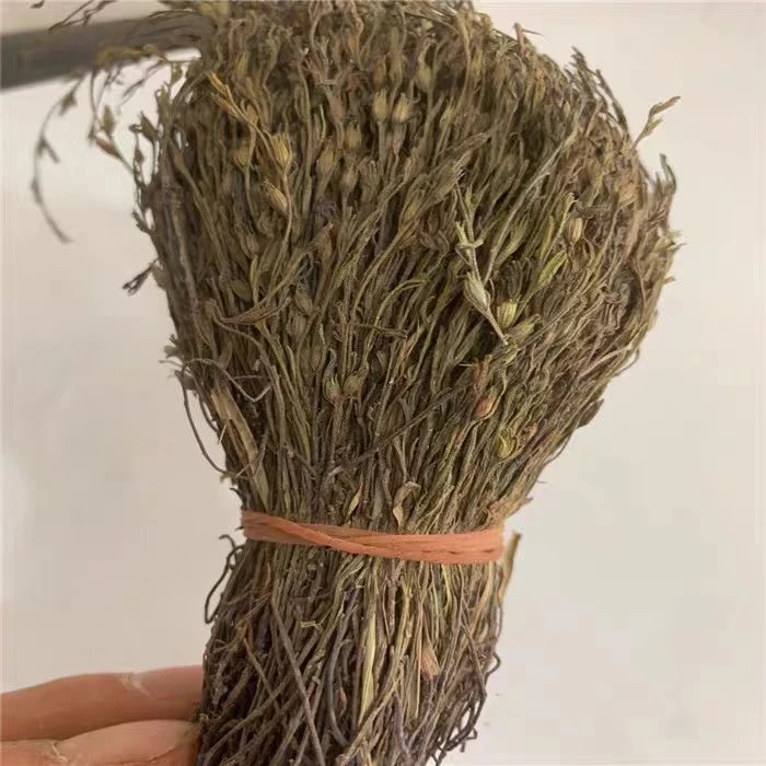 独脚金金疳积草小孩儿广西独角金新货新鲜晒可搭配枸杞