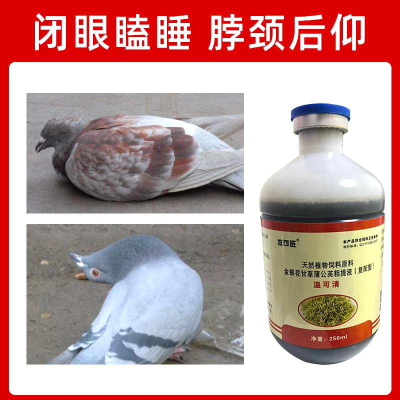 温可清新城役鸽子肉鸽种鸽赛鸽鹌鹑鹦鹉养殖饮水拌料口服饲料原料