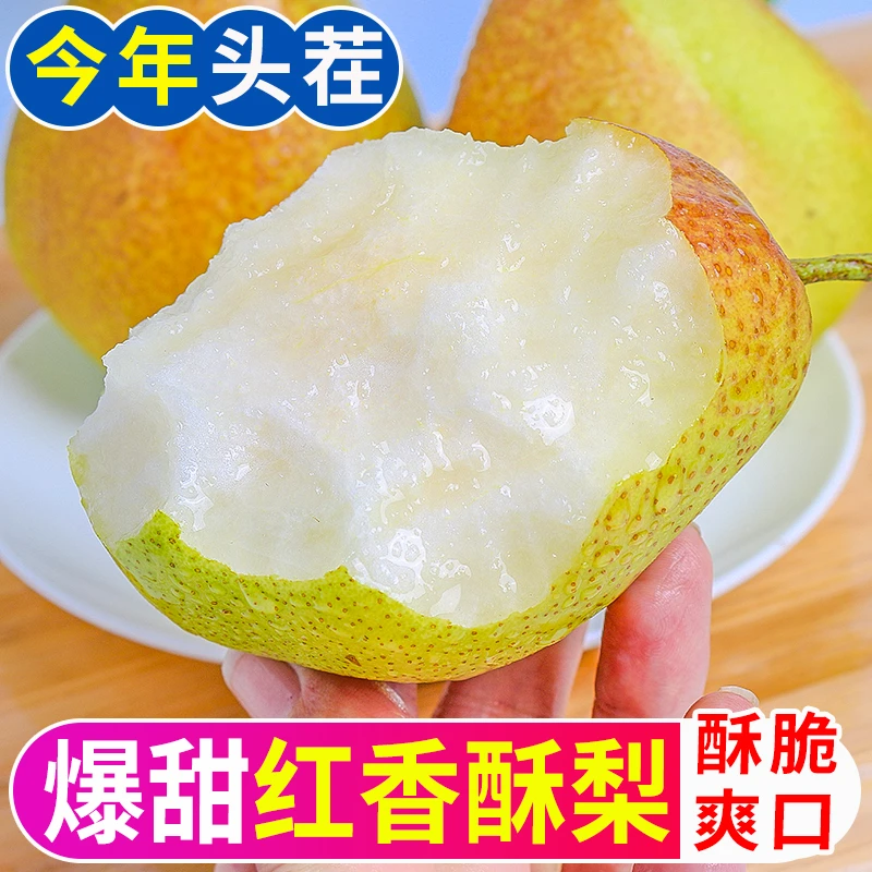【御品一园】运城红香酥梨子5斤/8.5斤脆甜山西香梨新鲜应季水果