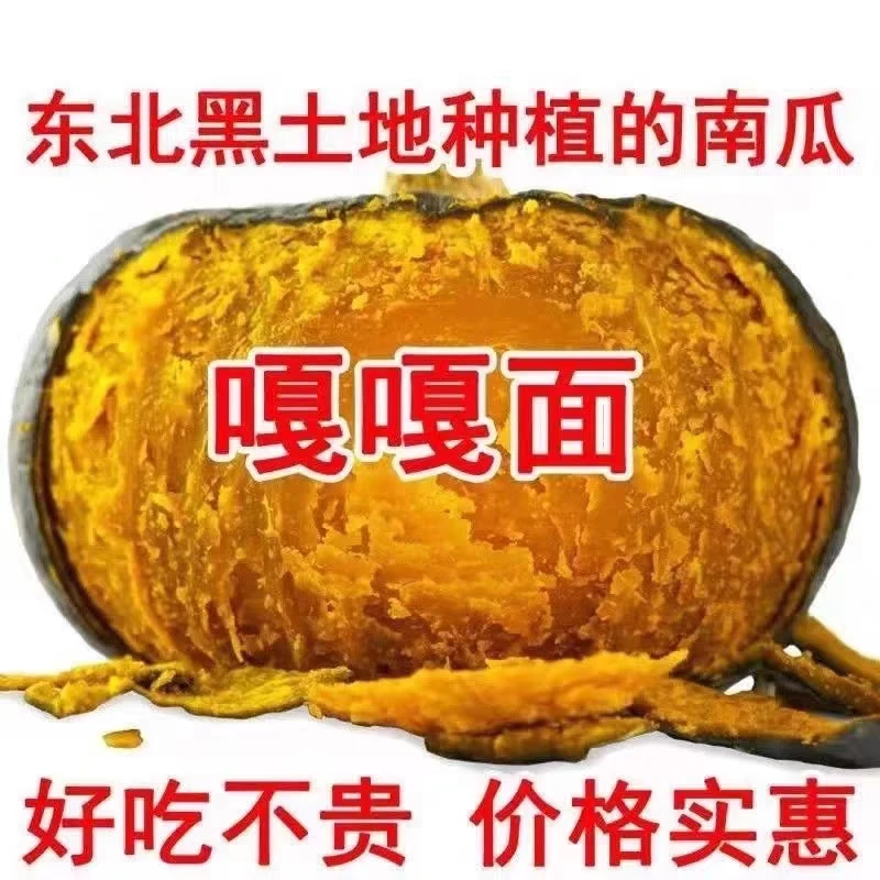 （铁柱家）东北黑龙江大地窝瓜黑土地种植