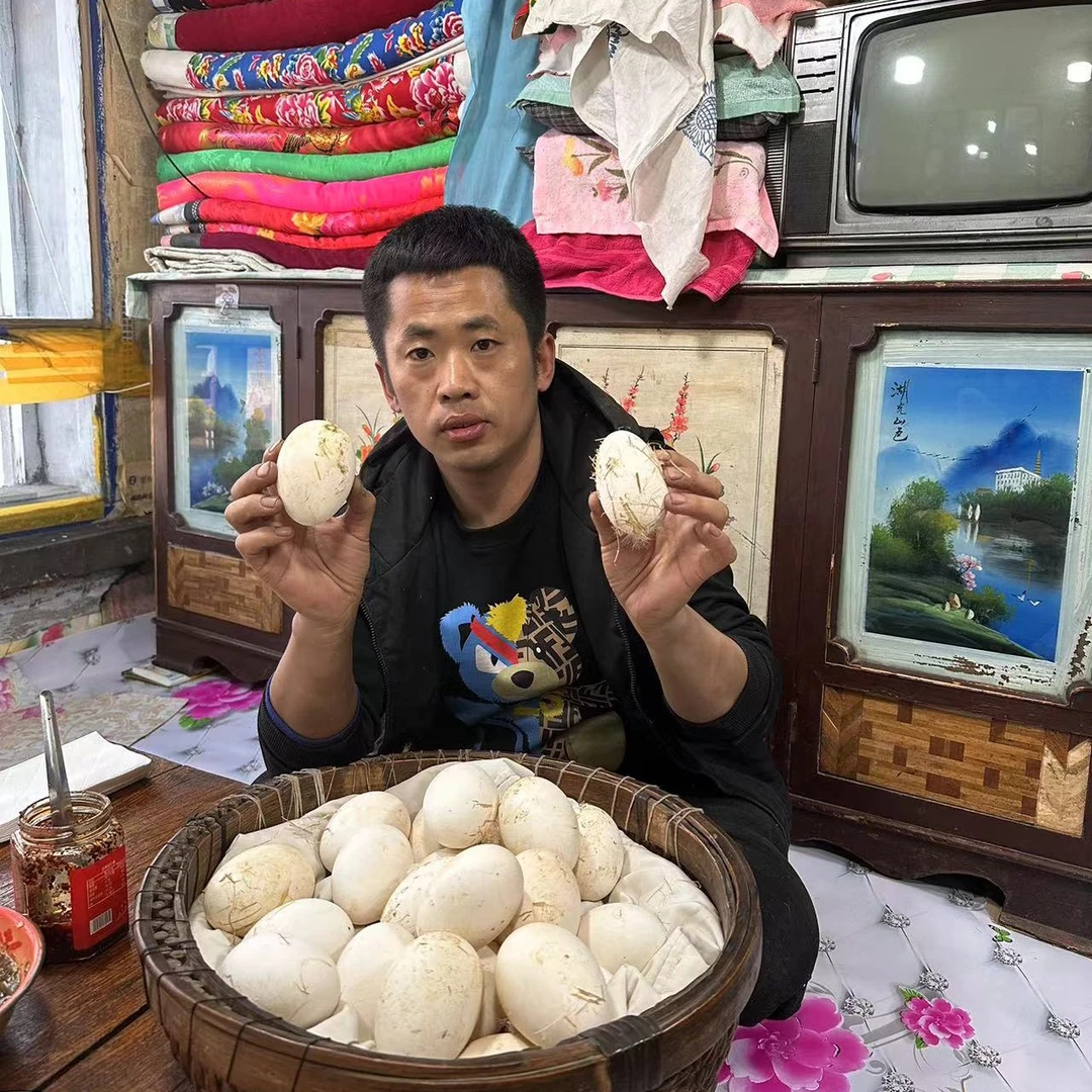 （铁柱家）农村散养当日现捡笨鹅蛋24个顺丰包邮！