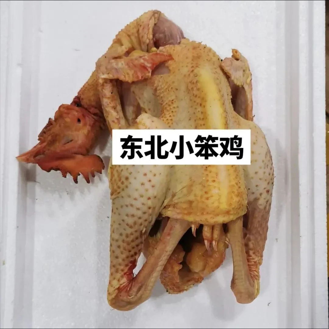 东北农村散养老母鸡6－7斤包邮