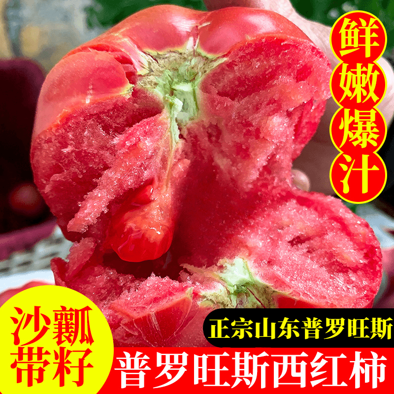 沙瓤普罗旺斯西红柿番茄西红柿 5-1斤酸甜饱满多汁好沙瓤带籽