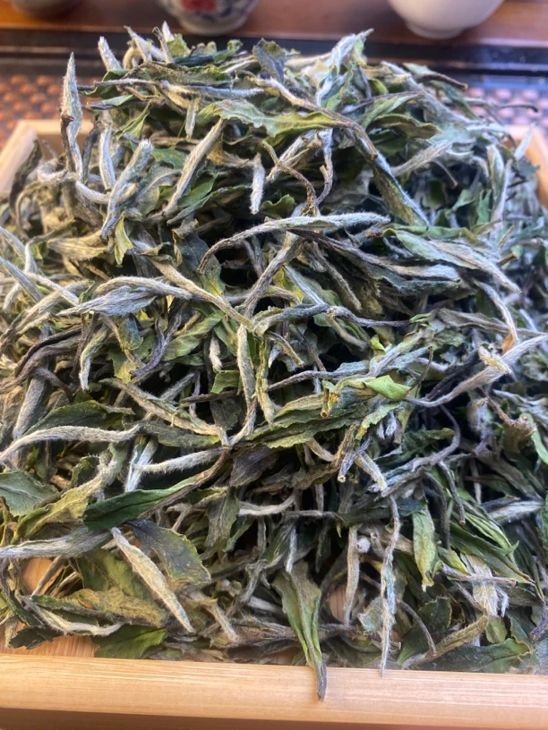 中秋礼盒福鼎白茶2025年正宗一年采一次的生态老枞白牡丹甘甜耐泡