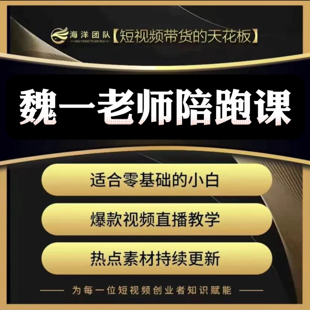 魏一老师私教陪跑课WY（报名通道）