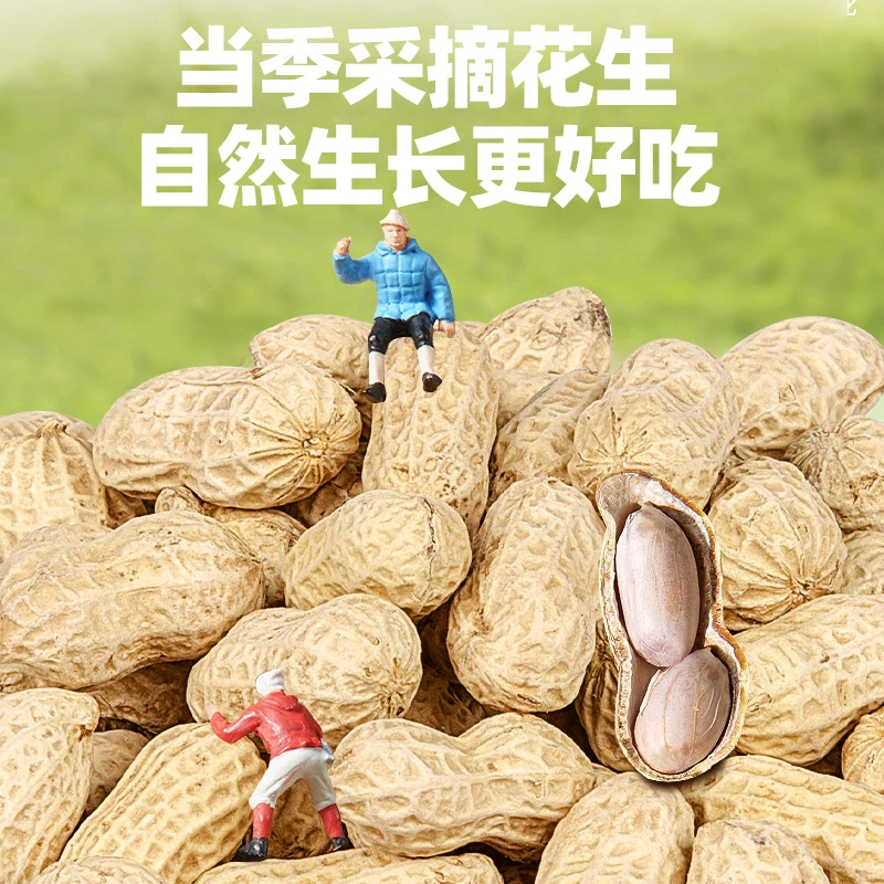 东富妙味新水煮花生晒干软糯香甜好吃不上火，粒粒精选颗颗饱满