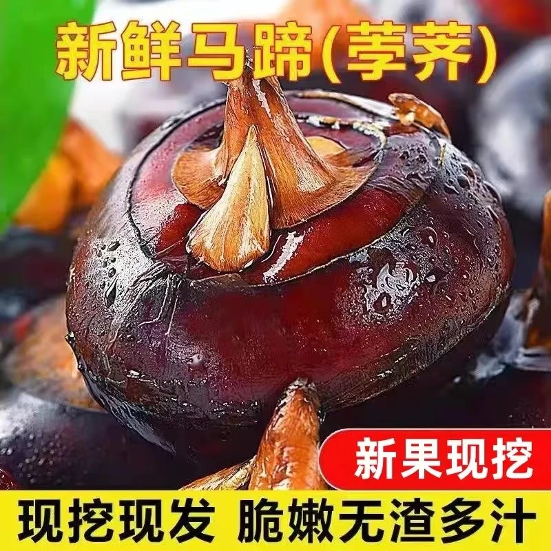 5斤马蹄新鲜马蹄荸荠现挖现发脆甜无渣农家自种